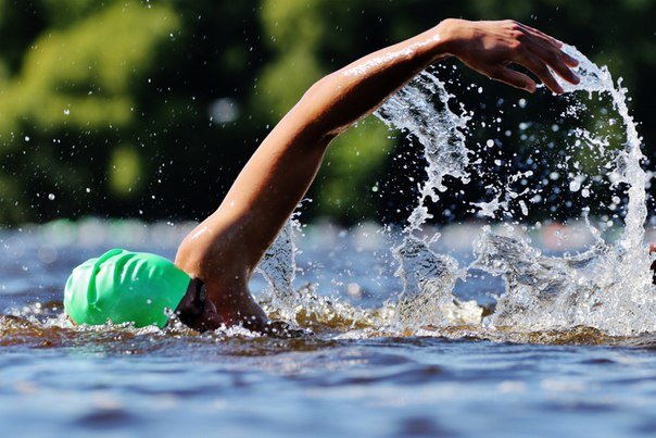 Водный спорт